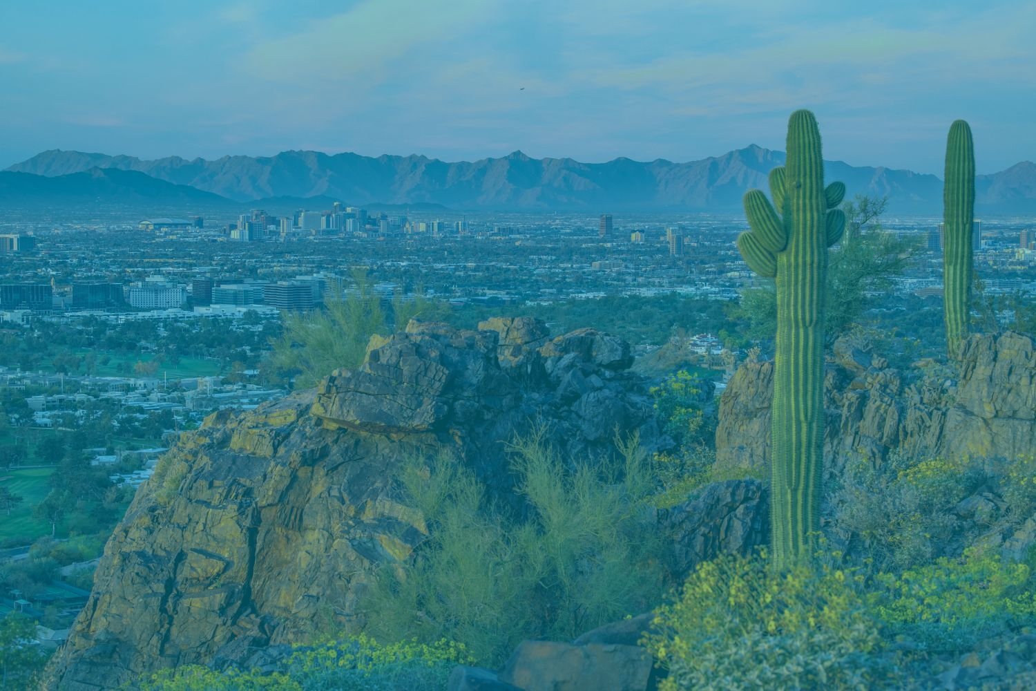 A tinted image of Phoenix Arizona from a far away view, with rocks and cactuses at the front.